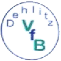 VfB Dehlitz AH