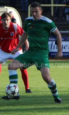 01.11.2015 SV Merseburg 99 vs. VfB IMO Merseburg